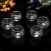 600ml Heat Resistant Glass Flower Tea Pot Set  6 Teacups Tea Warmer